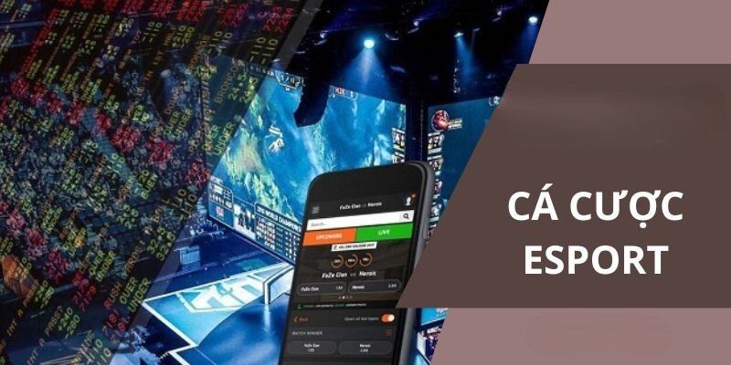 E Sports 8Kbet định nghĩa và sức hút đặc biệt